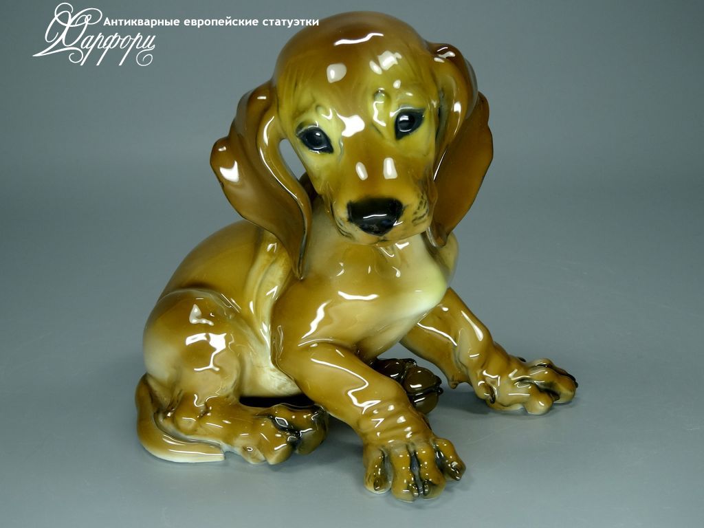 Купить фарфоровые статуэтки Rosenthal, Щенок таксы, Германия